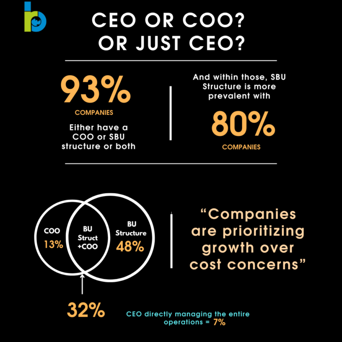 infographic for CEO or COO? or just CEO blog